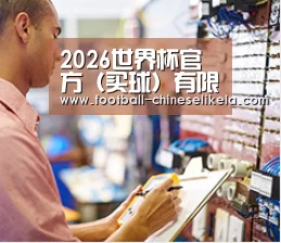 研发能力标题三