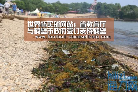 世界杯买球网站:省教育厅与鹤壁市政府签订支持鹤壁市建设高质量发展城市战略合作协议(图2) 世界杯买球平台