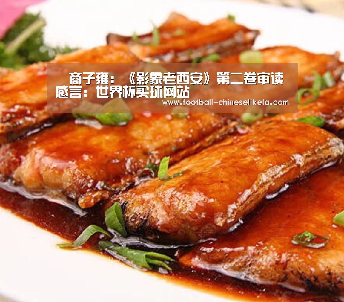 商子雍:《影象老西安》第二卷审读感言:世界杯买球网站(图2) 世界杯买球