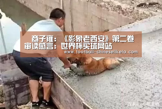 商子雍:《影象老西安》第二卷审读感言:世界杯买球网站(图3) 世界杯买球网站