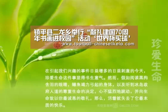 镇平县二龙乡举行“献礼建国70周年书画进校园”活动‘世界杯买球’(图2) 世界杯买球网站
